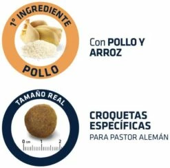 Advance German Shepherd Berger Allemand 13 Advance German Shepherd Berger Allemand -Miscota Soldes Boutique 538 4 5 g