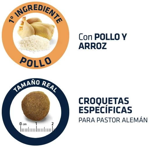 Advance German Shepherd Berger Allemand 7 Advance German Shepherd Berger Allemand – Image 5