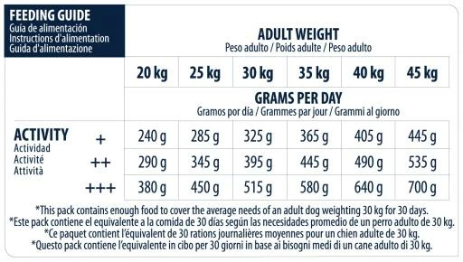 Advance German Shepherd Berger Allemand 9 Advance German Shepherd Berger Allemand – Image 7