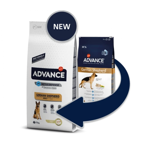 Advance German Shepherd Berger Allemand 4 Advance German Shepherd Berger Allemand – Image 2