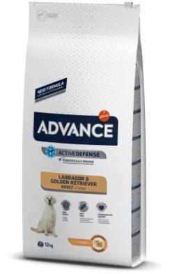 Advance Labrador Adult