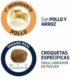 Advance Labrador Adult -Miscota Soldes Boutique 539 4 4 g