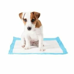 Duvo Plus Tapis D'Entraînement 30 Pièces -Miscota Soldes Boutique 5414365069308 prd webl 6320562ad8e34 g