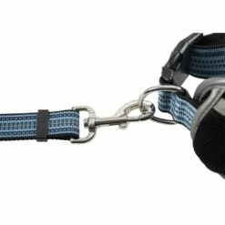 Duvo Plus Ceinture Et Laisse De Canicross En Néoprène -Miscota Soldes Boutique 5414365333058 dt2 webl 63e4b1f2d8771 g