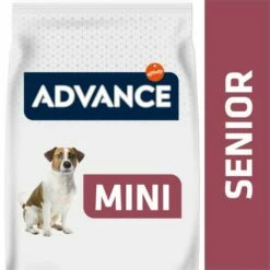 Advance Pienso Para Perros Senior Mini De Pollo Y Arroz -Miscota Soldes Boutique 55 1 2 g