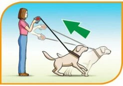 Ferplast Bande De Contrôle Flippy Bordeaux -Miscota Soldes Boutique 5976 8010690063102 1 2 g