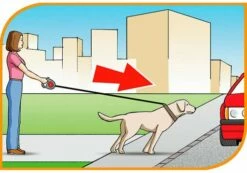 Ferplast Bande De Contrôle Flippy Bordeaux -Miscota Soldes Boutique 5976 8010690063102 2 3 g