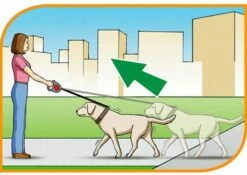 Ferplast Bande De Contrôle Flippy Bordeaux -Miscota Soldes Boutique 5976 8010690063102 1 g