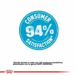 Royal Canin Mini Starter Mother And Babydog -Miscota Soldes Boutique 6 6220be6f3df7f g