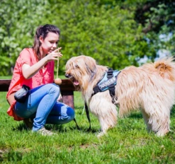 Julius K9 Balle Idc à Poignée 13 Julius K9 Balle Idc à Poignée -Miscota Soldes Boutique 60323 5999053615611 3 5 g