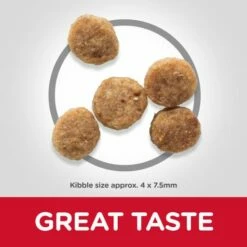 Hill's Science Plan Senior 11+ Small & Mini Au Poulet -Miscota Soldes Boutique 62899 atf10 52742283005 food shot 9 g