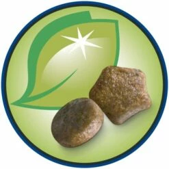 Dog Chow Chiot Avec Puppy Agneau à L'agneau -Miscota Soldes Boutique 63004 07613034464569 12362209 consumer data p8 7 g