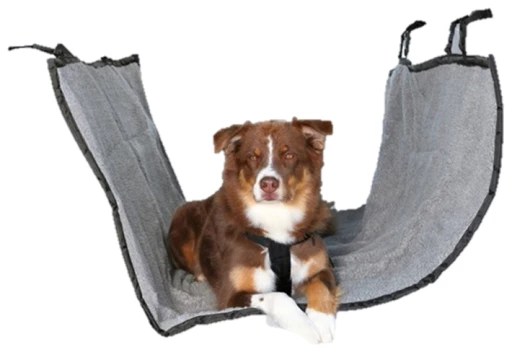 Trixie Couvre-sièges Voiture Nylon, 1.45×1.60M 3 Trixie Couvre-sièges Voiture Nylon, 1.45×1.60M