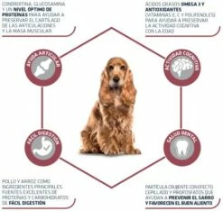 Advance Nourriture Medium Senior Poulet Et Riz -Miscota Soldes Boutique 66 3 3 g