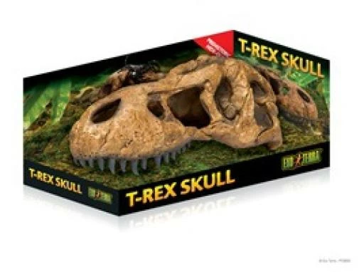 Exo Terra Grotte T-Rex Skull 6 Exo Terra Grotte T-Rex Skull – Image 4
