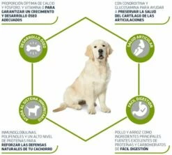 Advance Maxi Junior Poulet Et Riz 11 Advance Maxi Junior Poulet Et Riz -Miscota Soldes Boutique 70 3 3 g