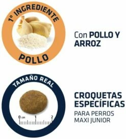 Advance Maxi Junior Poulet Et Riz 12 Advance Maxi Junior Poulet Et Riz -Miscota Soldes Boutique 70 4 4 g