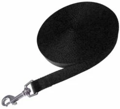 Gloria Pets Formation Correa