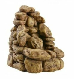 Exo Terra Fontaine Pebble Petite Taille