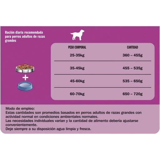 Friskies Viande De Chien Maxi 6 Friskies Viande De Chien Maxi – Image 4