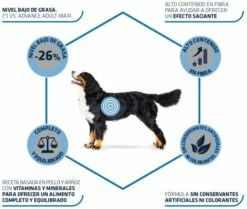 Advance Maxi Light Poulet Et Riz -Miscota Soldes Boutique 71 3 3 g