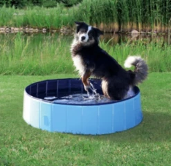 Trixie Piscine Pour Chiens -Miscota Soldes Boutique 71546 trixiepool 1 g
