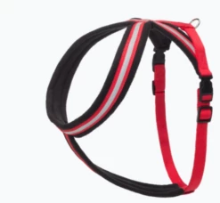 The Company Of Animals Harnais Confortable Et Rembourré