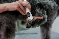 Artero Tondeuse Exacta 13 Artero Tondeuse Exacta -Miscota Soldes Boutique 71nduicb86s ac sl1500 6343e2858140f g