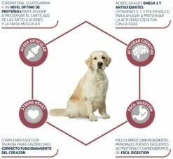 Advance Maxi Senior Poulet Et Riz 11 Advance Maxi Senior Poulet Et Riz -Miscota Soldes Boutique 72 3 3 g