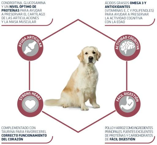 Advance Maxi Senior Poulet Et Riz 5 Advance Maxi Senior Poulet Et Riz – Image 3