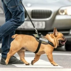 Julius K9 IDC Harnais Camouflage 10 Julius K9 IDC Harnais Camouflage -Miscota Soldes Boutique 73991 julius k9 idc powergeschirr camouflage hs7 8 63ca522020d54 g