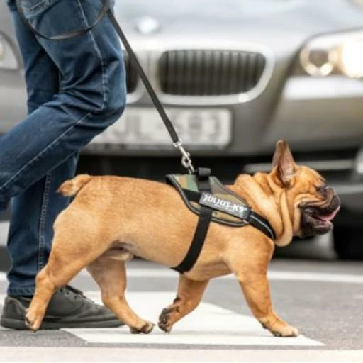 Julius K9 IDC Harnais Camouflage 4 Julius K9 IDC Harnais Camouflage – Image 2