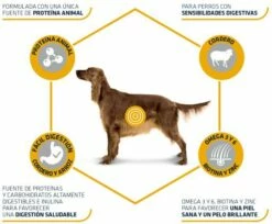 Advance Tourteau Lamb & Rice Agneau Et Riz Adult -Miscota Soldes Boutique 75 3 4 g