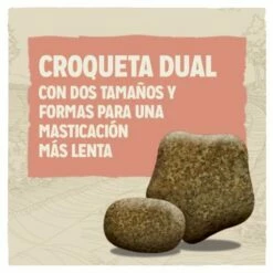 Dog Chow Nourriture Light Avec Dinde Pour Chiens 11 Dog Chow Nourriture Light Avec Dinde Pour Chiens -Miscota Soldes Boutique 7613034487773 4 croqueta 63071ccb629f4 g