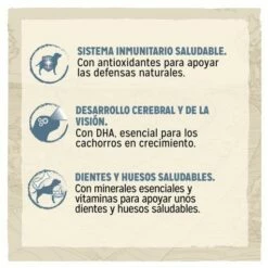 Dog Chow Chiot Avec Puppy Agneau à L'agneau -Miscota Soldes Boutique 7613034487872 3 beneficios 63073818846e2 g