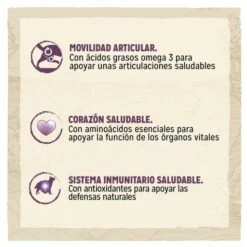 Dog Chow Nourriture Senior Avec Poulet Pour Chiens 9 Dog Chow Nourriture Senior Avec Poulet Pour Chiens -Miscota Soldes Boutique 7613034487896 3 beneficios 6307125e1a38d g