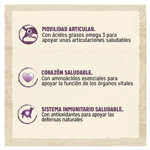 Dog Chow Nourriture Senior Avec Poulet Pour Chiens 4 Dog Chow Nourriture Senior Avec Poulet Pour Chiens – Image 2