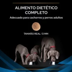 Pro Plan Veterinary Diets DRM Dermatosis -Miscota Soldes Boutique 7613035156289 3 636a0c292e51a g