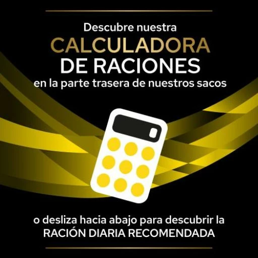 Pro Plan Veterinary Diets Pienso Nc Neurocare Para Perros Adultos Y Sénior 9 Pro Plan Veterinary Diets Pienso Nc Neurocare Para Perros Adultos Y Sénior – Image 7