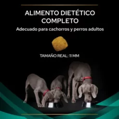Pro Plan Veterinary Diets EN Gastrointestinal 20 Pro Plan Veterinary Diets EN Gastrointestinal -Miscota Soldes Boutique 7613287587800 3 6369fd87e0c5c g
