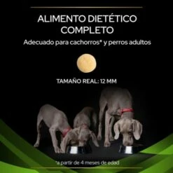 Pro Plan Veterinary Diets HA Hypoallergenic -Miscota Soldes Boutique 7613287588005 3 636a0ab5160ff g