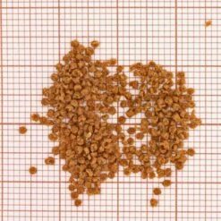 JBL Grana Click -Miscota Soldes Boutique 79647 632336c3171b1 g