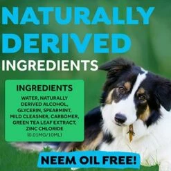 TropiClean Fresh Breath Kit De Hygiène Dentaire Pour Petits Chiens 59 Ml -Miscota Soldes Boutique 81kj2xpAJfL AC SX679 637be4983acba g