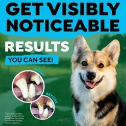 TropiClean Fresh Breath Kit De Hygiène Dentaire Pour Petits Chiens 59 Ml -Miscota Soldes Boutique 81v9AaG6hKL AC SX679 637be48f8931e g