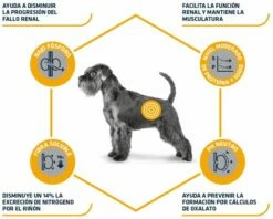 Advance Nourriture Rénale Canine 11 Advance Nourriture Rénale Canine -Miscota Soldes Boutique 82717 3 3 g