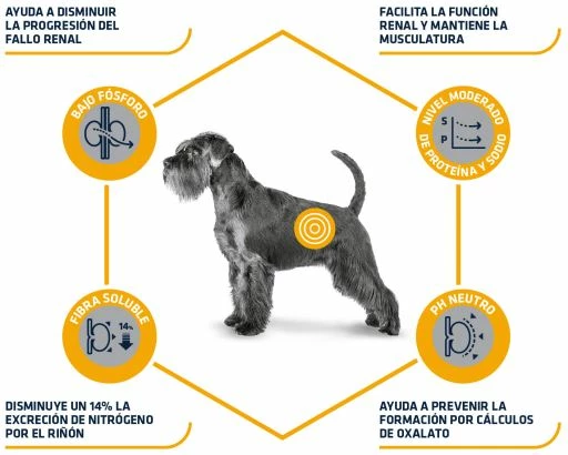 Advance Nourriture Rénale Canine 5 Advance Nourriture Rénale Canine – Image 3