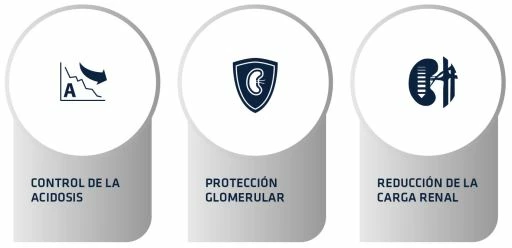 Advance Nourriture Rénale Canine 6 Advance Nourriture Rénale Canine – Image 4