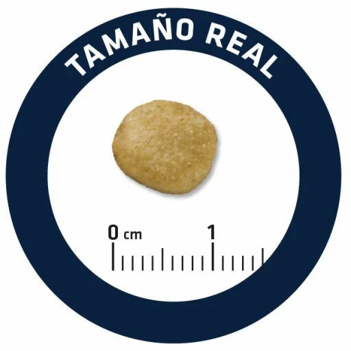 Advance Nourriture Rénale Canine 7 Advance Nourriture Rénale Canine – Image 5