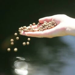 JBL Propond All Seasons S -Miscota Soldes Boutique 82824 61fd112458d88 g