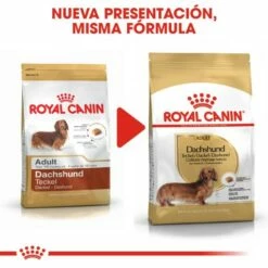 Royal Canin Dachshund Adult -Miscota Soldes Boutique 84 5 5 g